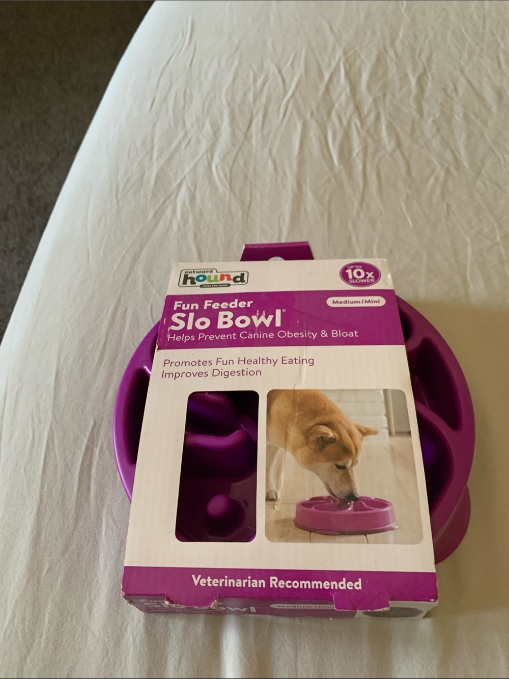 Outward Hound Slow-Feed Slo Bowl in Bright Purple